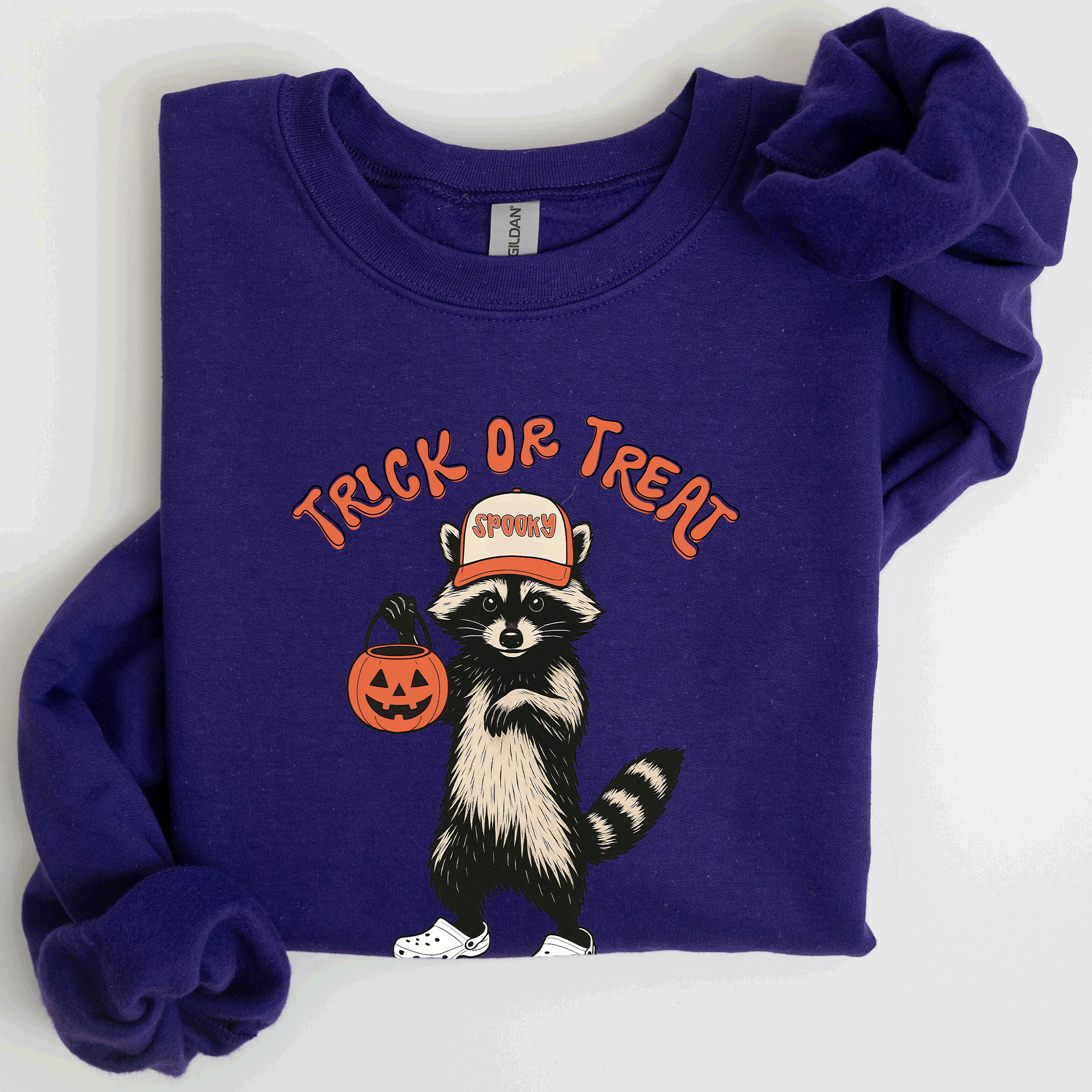Raccoon Trick Or Treat Halloween Spooky Cozy Nighttime Autumn Theme Seasonal Fun Sweatshirt