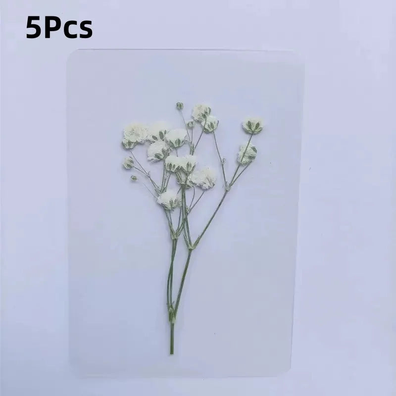 15Pcs Lucky Simulation Four-Leaf Clover Postcards Shamrock Stems Transparent Wishing Cards Ideal for Bookmarks & Decorations