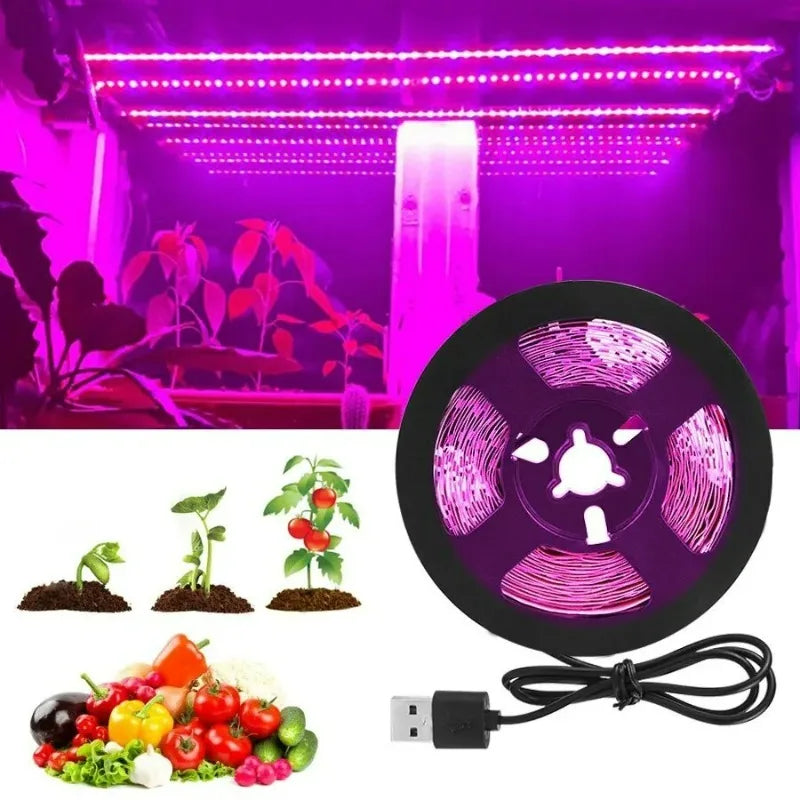 LED Grow Light Full Spectrum 5V USB Grow Light Strip 1m-5m 2835 Chip LED Phyto Lamp for Plants Flowers Greenhouse Hydroponic