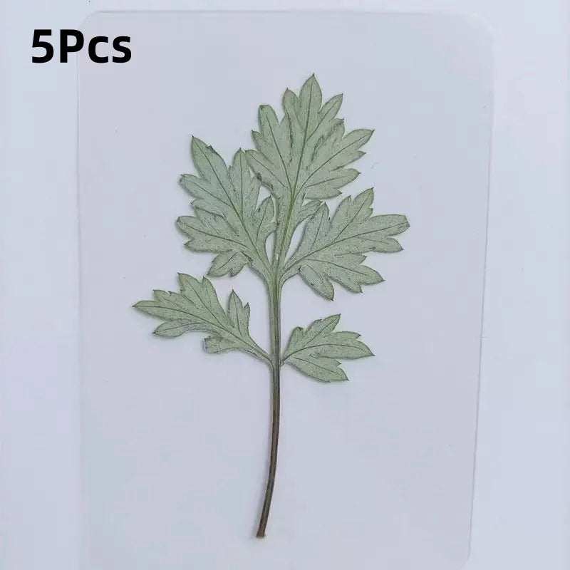 15Pcs Lucky Simulation Four-Leaf Clover Postcards Shamrock Stems Transparent Wishing Cards Ideal for Bookmarks & Decorations