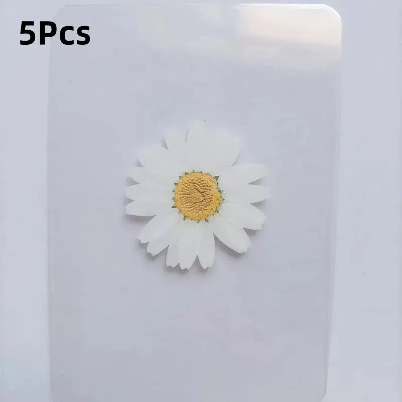 15Pcs Lucky Simulation Four-Leaf Clover Postcards Shamrock Stems Transparent Wishing Cards Ideal for Bookmarks & Decorations