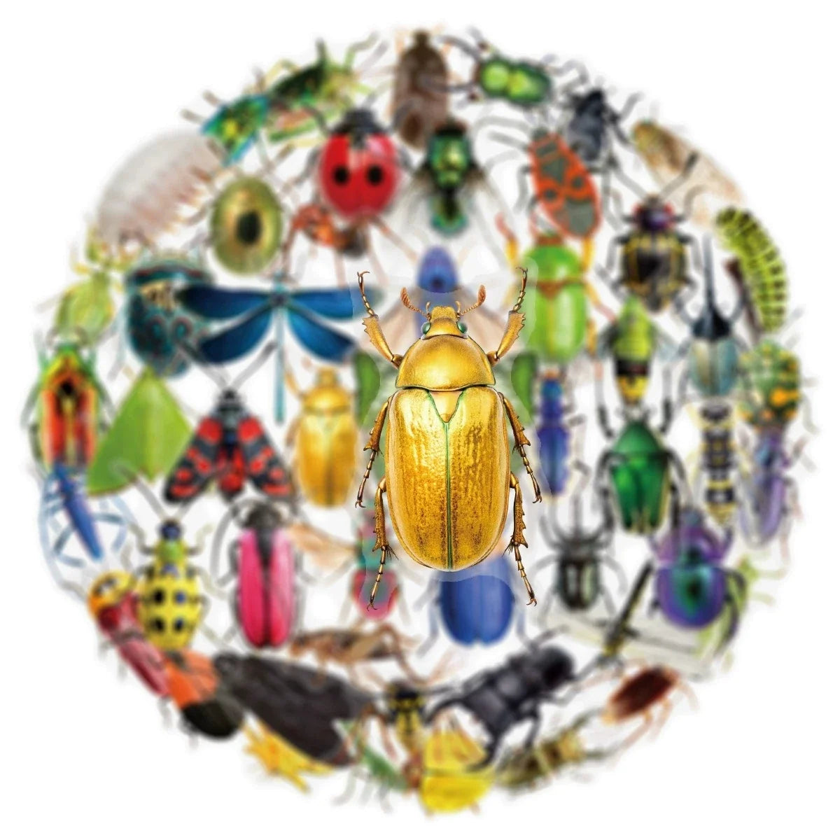 50/100PCS Transparent PET Animal Stationery Stickers Cartoon Creative Insect Pattern DIY Notebook Reward Stickers