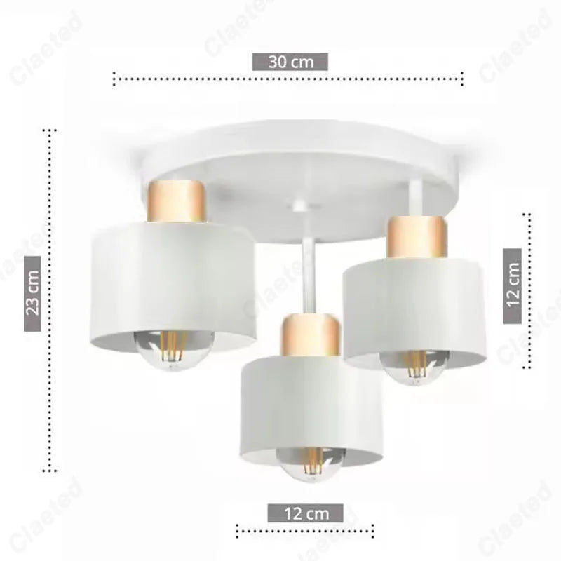 Creative New LED Ceiling Ceiling Ceiling Lamp Living Room Dining Room Corridor Kitchen Bedroom Decorative Lighting