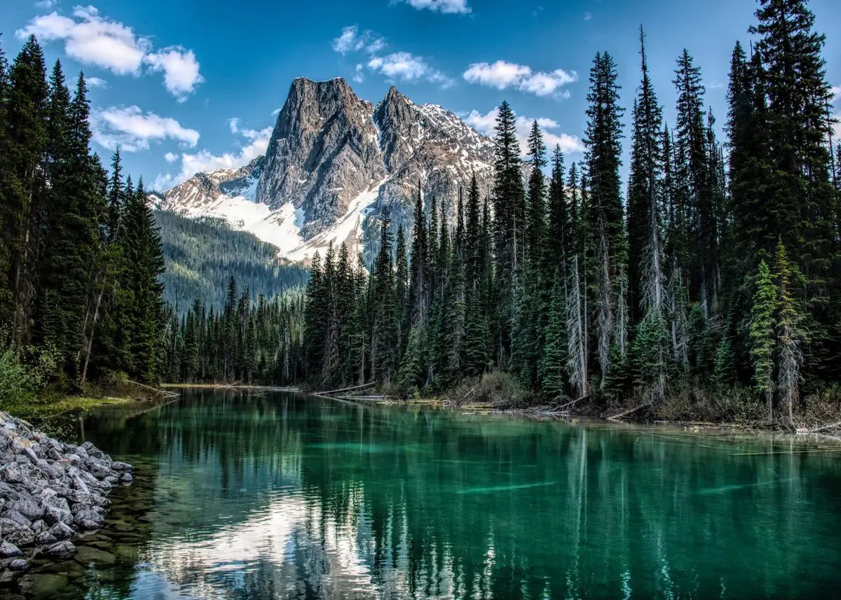 Nature Landscape Green Forest Mountain Lake Boat Poster Print Canvas Painting Wall Art Pictures Modern Living Room Home Decor