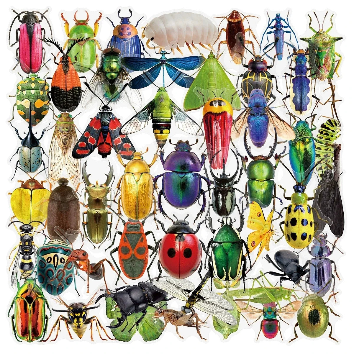 50/100PCS Transparent PET Animal Stationery Stickers Cartoon Creative Insect Pattern DIY Notebook Reward Stickers