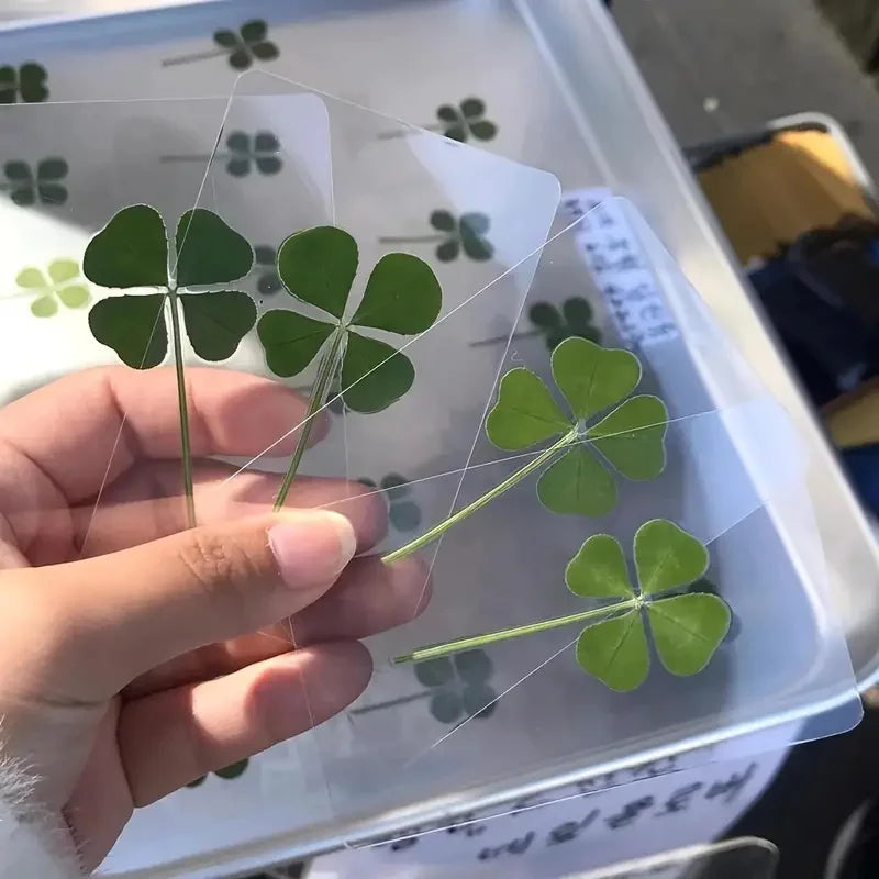 15Pcs Lucky Simulation Four-Leaf Clover Postcards Shamrock Stems Transparent Wishing Cards Ideal for Bookmarks & Decorations