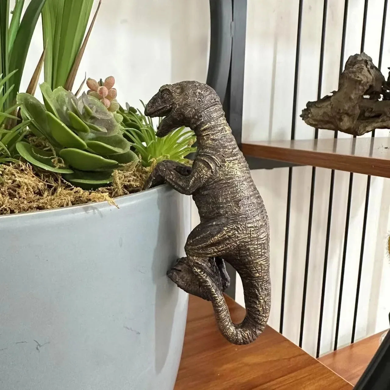 Decorated dinosaur statues, plant hangers decorated dinosaurs, cute animals, potted plants, buddies, dinosaurs, decorative hange