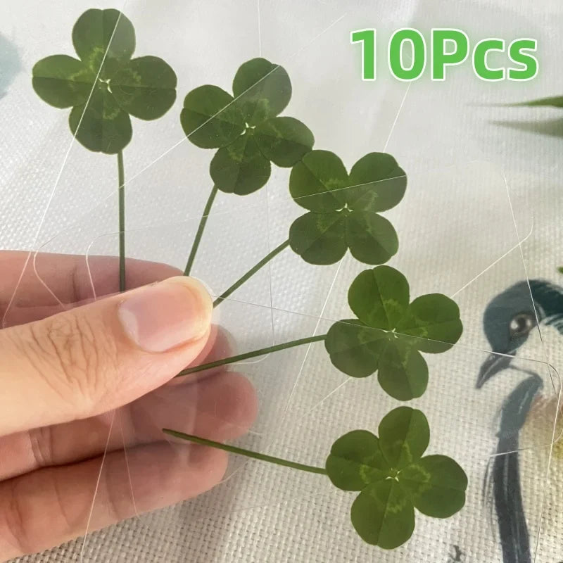 15Pcs Lucky Simulation Four-Leaf Clover Postcards Shamrock Stems Transparent Wishing Cards Ideal for Bookmarks & Decorations