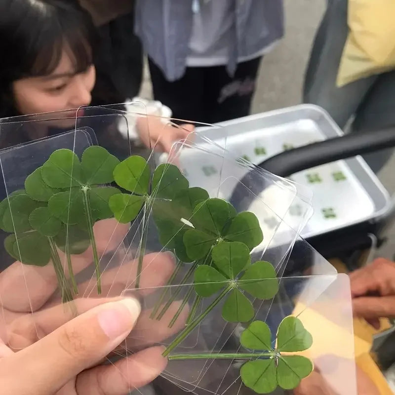 15Pcs Lucky Simulation Four-Leaf Clover Postcards Shamrock Stems Transparent Wishing Cards Ideal for Bookmarks & Decorations