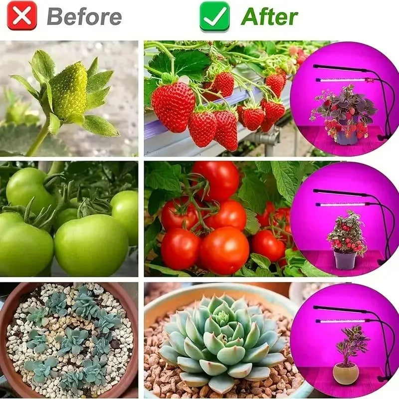 LED Plant Growth Light with 10 Levels Adjustable Brightness Full Spectrum 3H/9H/12H Timed Indoor Garden Vegetable Growth Light