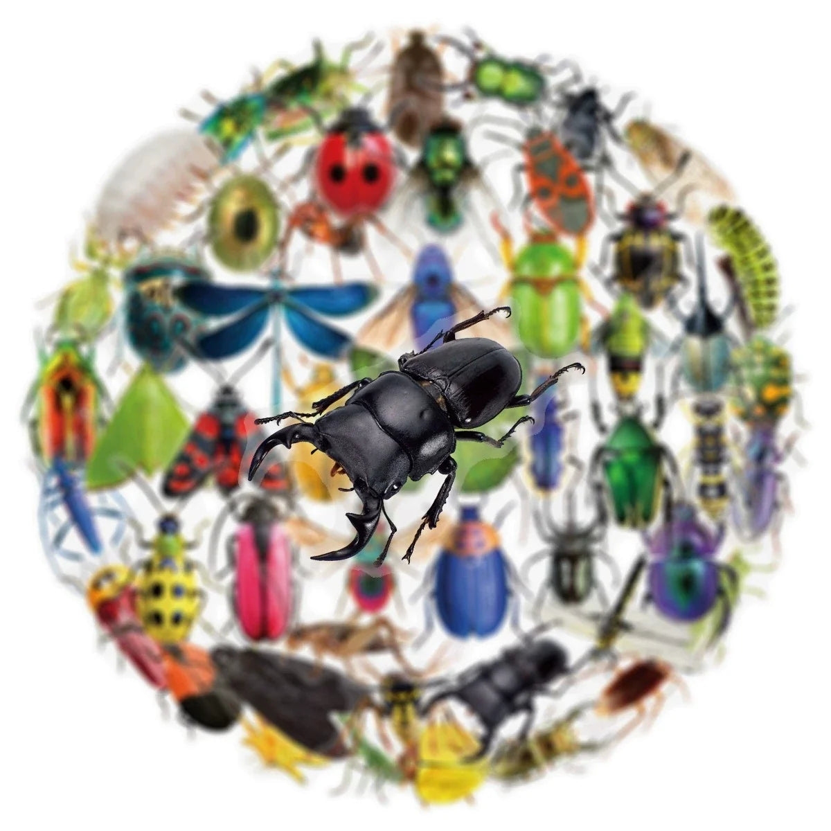 50/100PCS Transparent PET Animal Stationery Stickers Cartoon Creative Insect Pattern DIY Notebook Reward Stickers