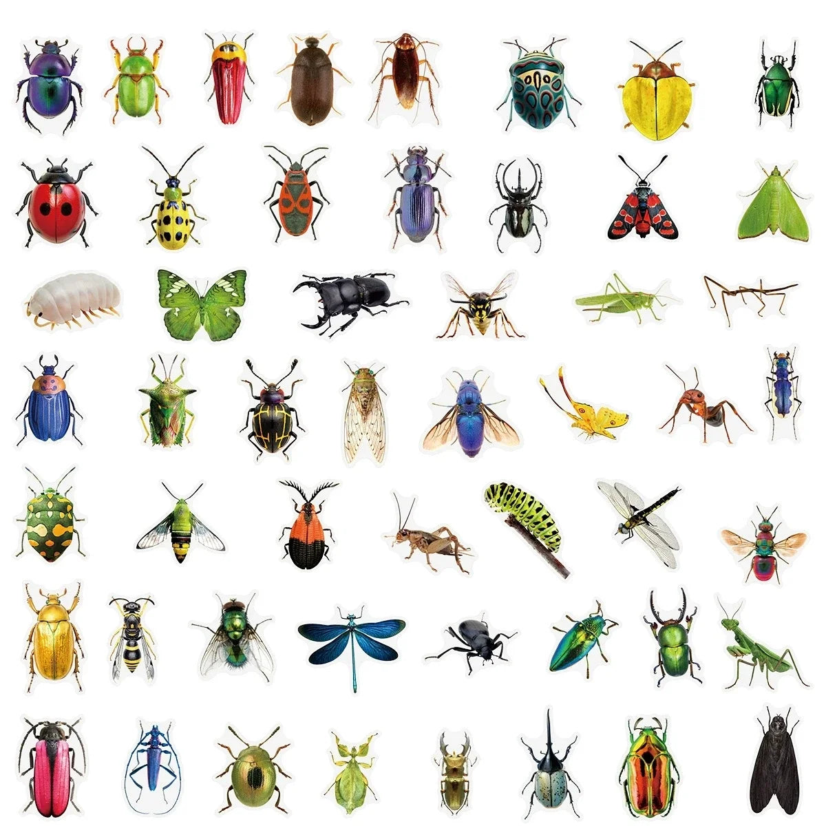 50/100PCS Transparent PET Animal Stationery Stickers Cartoon Creative Insect Pattern DIY Notebook Reward Stickers