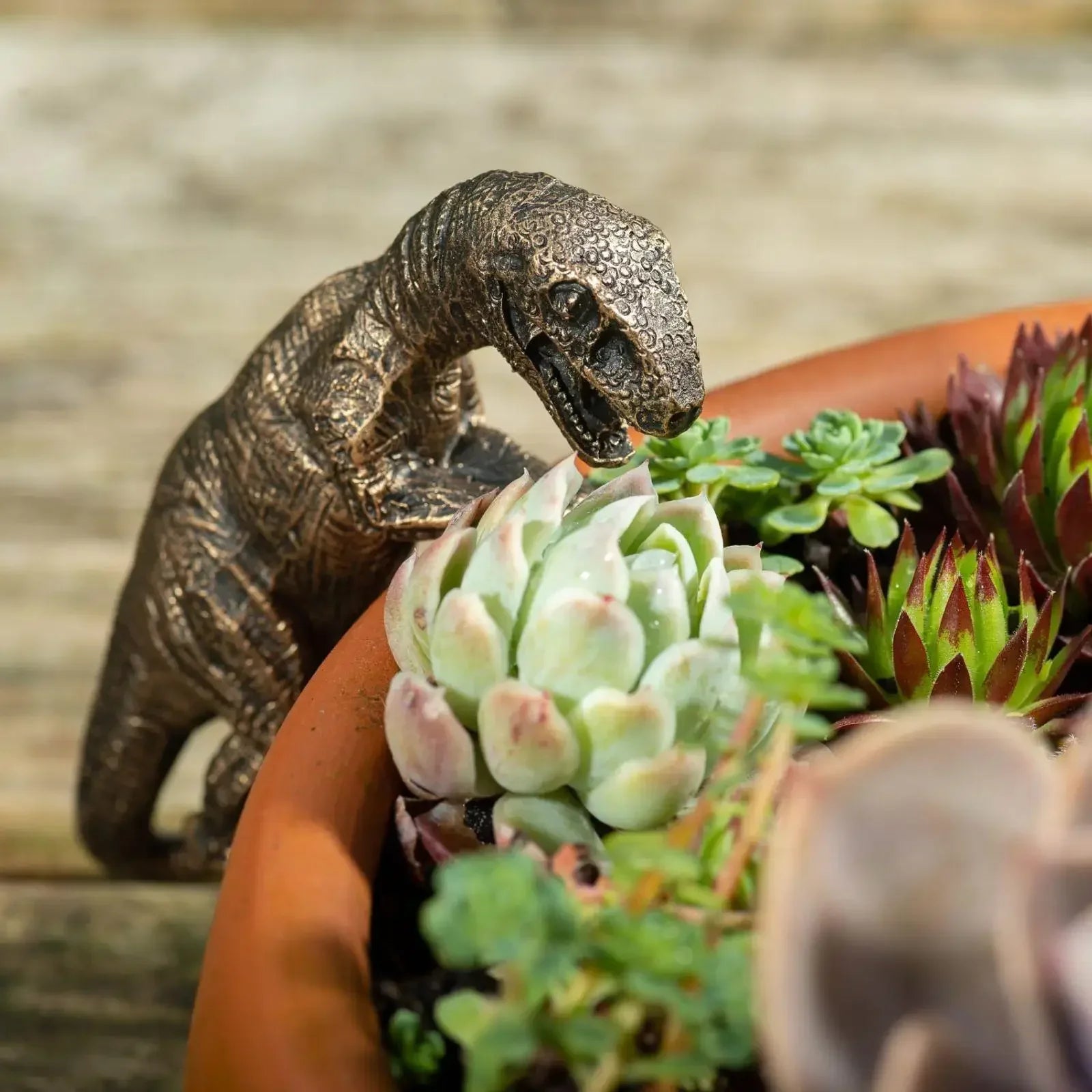 Decorated dinosaur statues, plant hangers decorated dinosaurs, cute animals, potted plants, buddies, dinosaurs, decorative hange