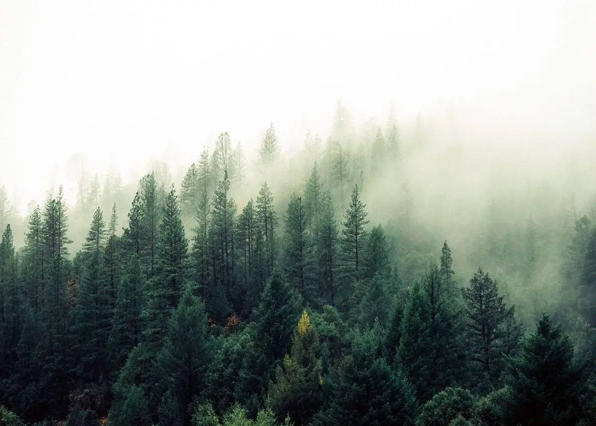 Nature Landscape Green Forest Mountain Lake Boat Poster Print Canvas Painting Wall Art Pictures Modern Living Room Home Decor