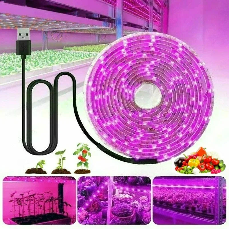 LED Grow Light Full Spectrum 5V USB Grow Light Strip 1m-5m 2835 Chip LED Phyto Lamp for Plants Flowers Greenhouse Hydroponic