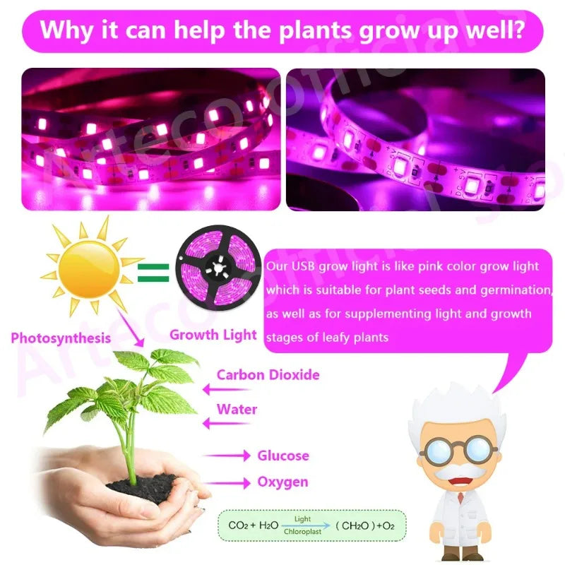 LED Grow Light Full Spectrum 5V USB Grow Light Strip 1m-5m 2835 Chip LED Phyto Lamp for Plants Flowers Greenhouse Hydroponic