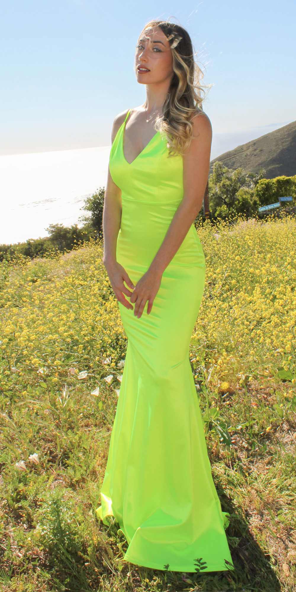 Astee SE016 Long Fitted Semi Formal Gown by Cinderella Divine