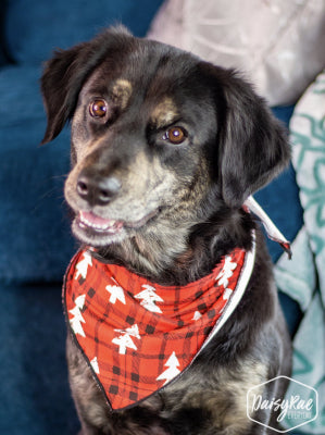 Pet Bandana Plaid Red