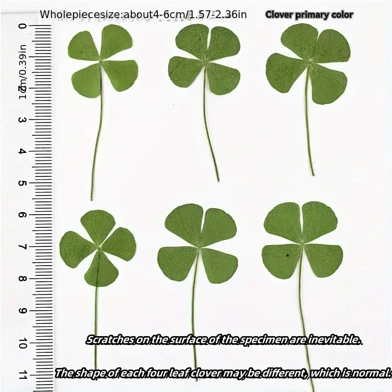 15Pcs Lucky Simulation Four-Leaf Clover Postcards Shamrock Stems Transparent Wishing Cards Ideal for Bookmarks & Decorations