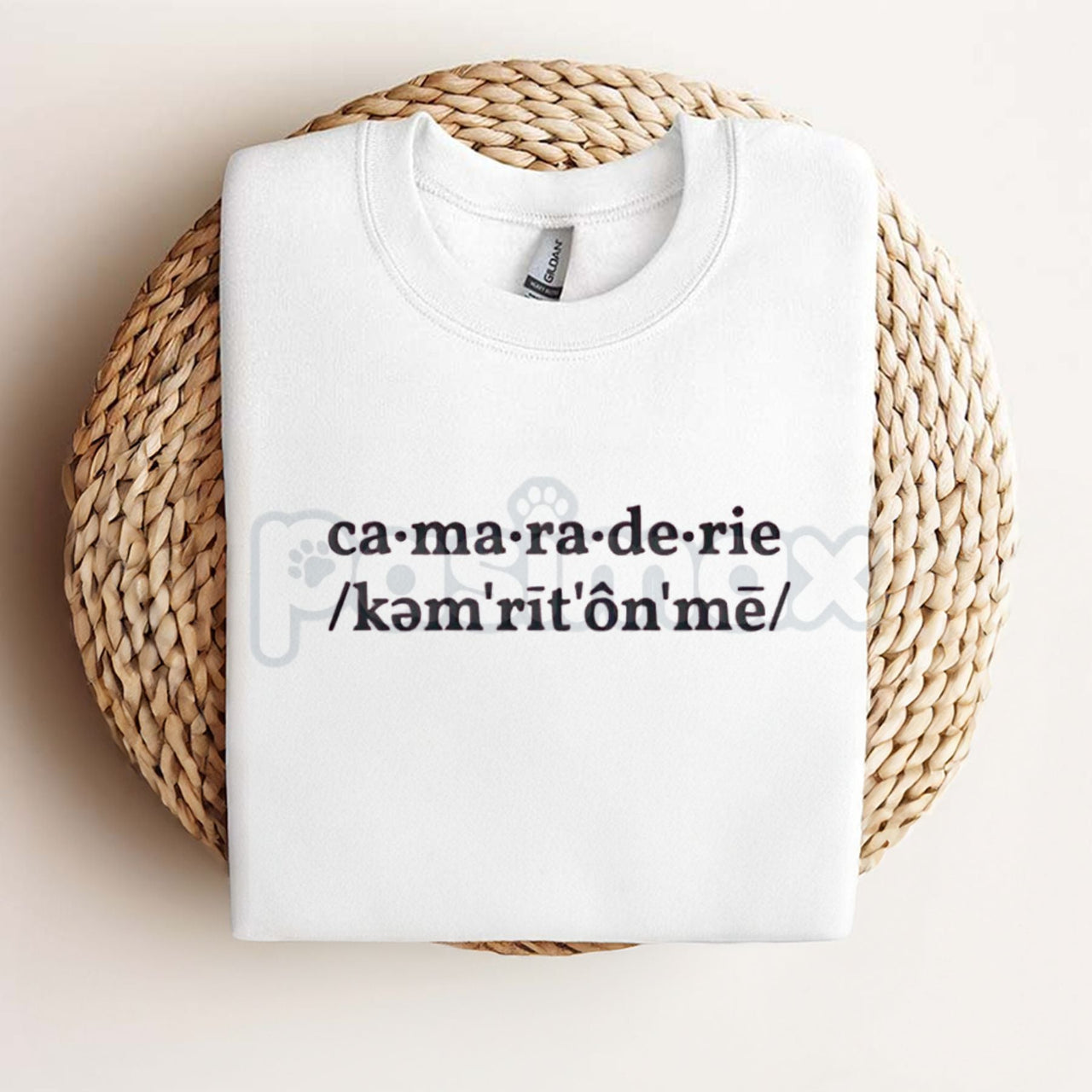 Sabrina Carpenter Camaraderie Embroidered Shirt – Unisex, Relaxed Fit Tee for Concert & Fan Apparel