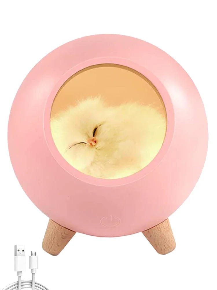 Bluetooth Speaker Night light Cute Cat Animal House Light Children Gift Creative Bedroom Desktop Decoration Bedside Night lamp