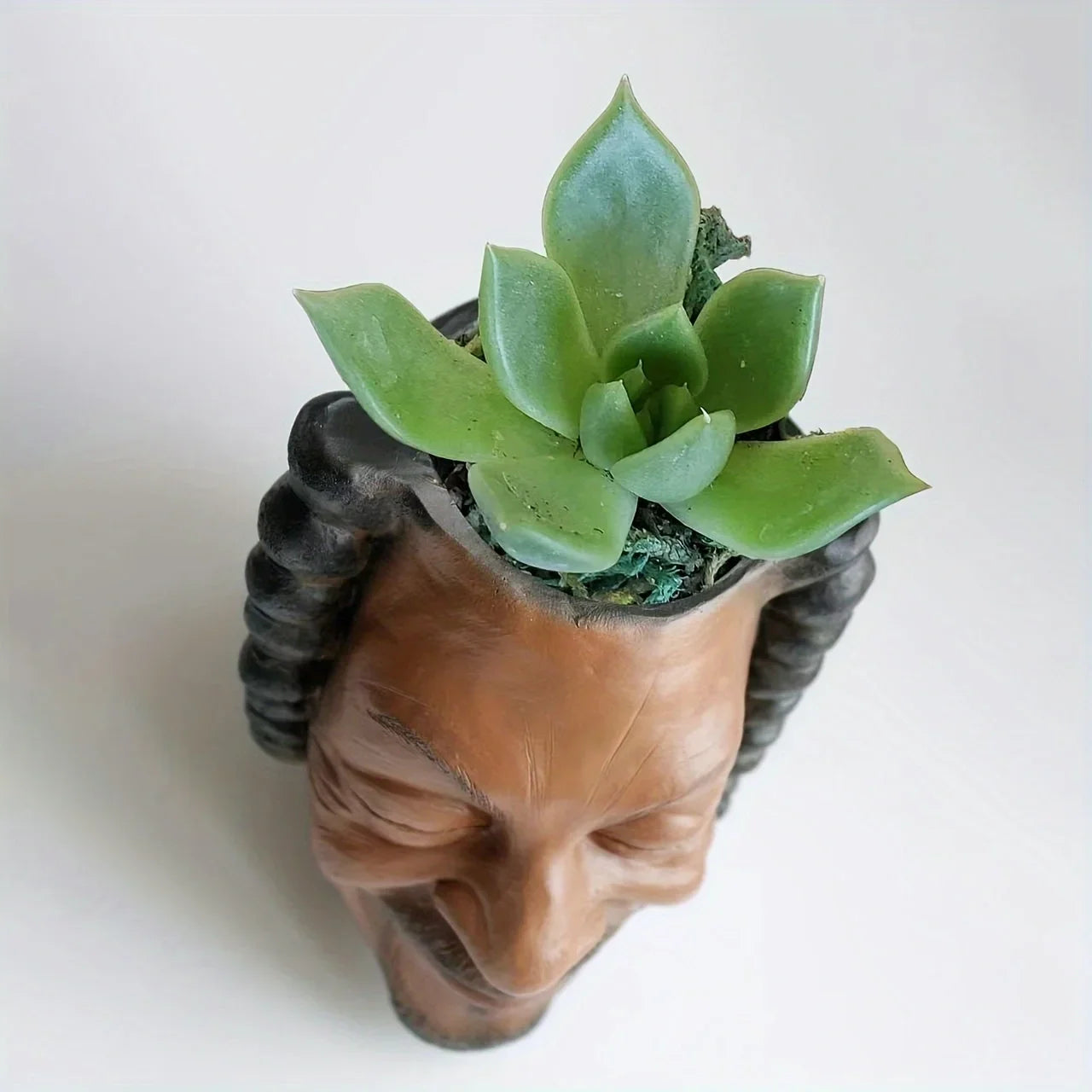 A Facial Flower Pot, Garden Flower Pot, Resin Facial Flower Pot, Succulent Flower Pot, Unique Flower Pot