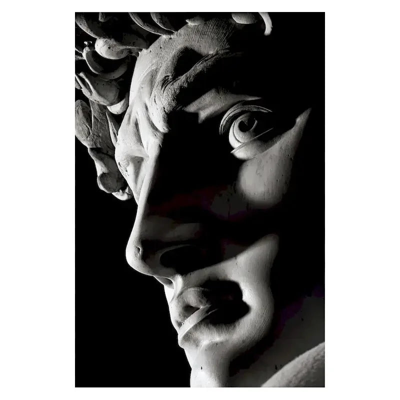 Nordic Simple Wall Art Black Ancient Greek Gods Sculpture David Statue Canvas Print Poster Home Living Room Bedroom Decoration