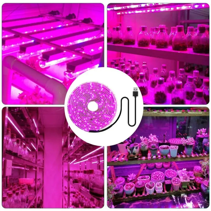 LED Grow Light Full Spectrum 5V USB Grow Light Strip 1m-5m 2835 Chip LED Phyto Lamp for Plants Flowers Greenhouse Hydroponic