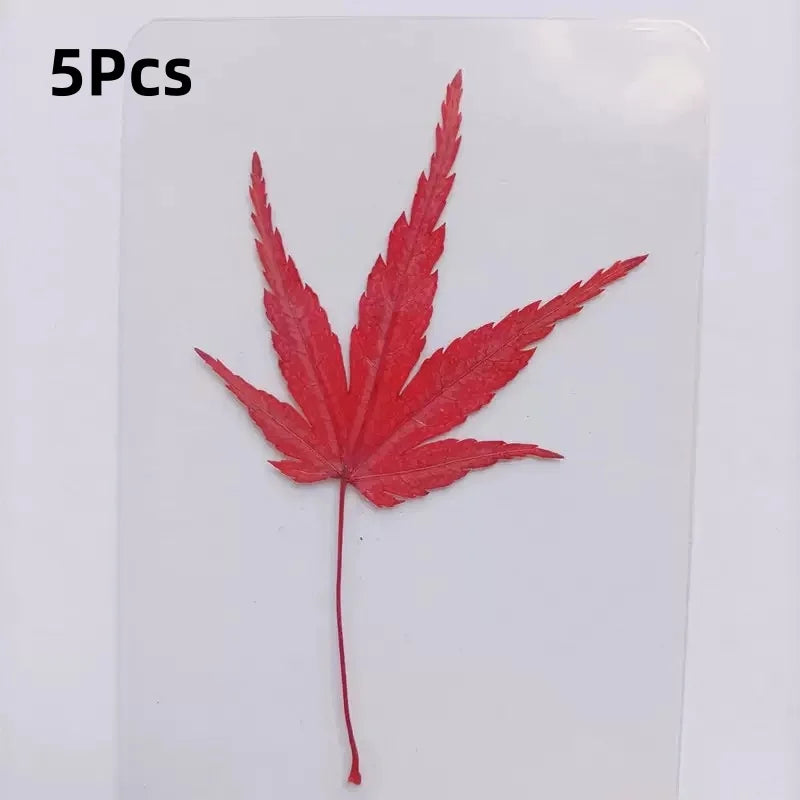 15Pcs Lucky Simulation Four-Leaf Clover Postcards Shamrock Stems Transparent Wishing Cards Ideal for Bookmarks & Decorations