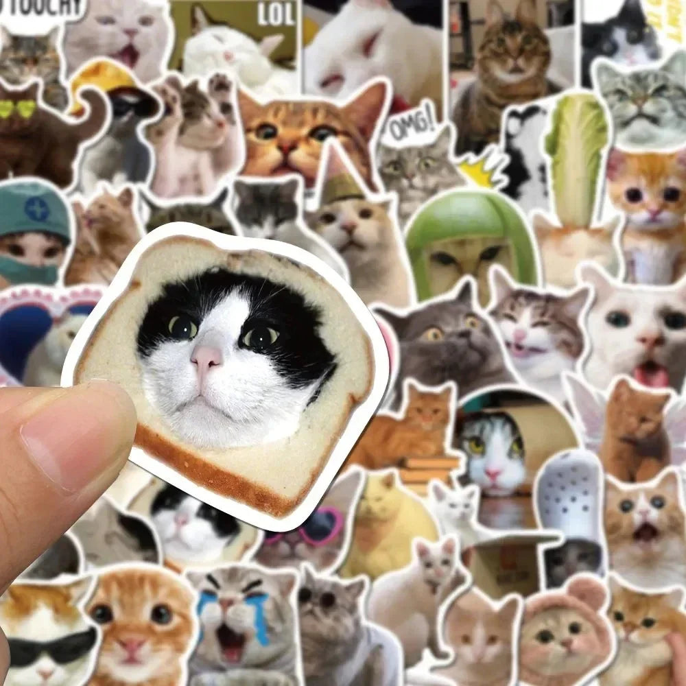 50Pcs Kawaii Funny Cat Stickers Pack Waterproof Laptop Phone Scrapbooking Motorcycle Car Korean Decal Sticker for Kids Toys