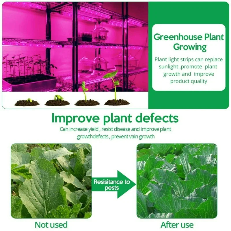 LED Grow Light Full Spectrum 5V USB Grow Light Strip 1m-5m 2835 Chip LED Phyto Lamp for Plants Flowers Greenhouse Hydroponic