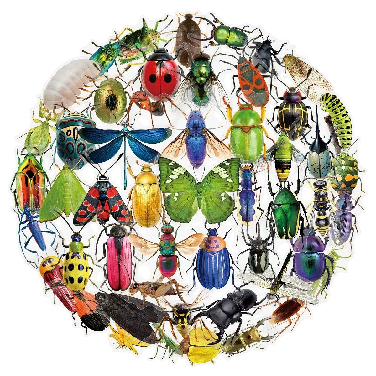 50/100PCS Transparent PET Animal Stationery Stickers Cartoon Creative Insect Pattern DIY Notebook Reward Stickers