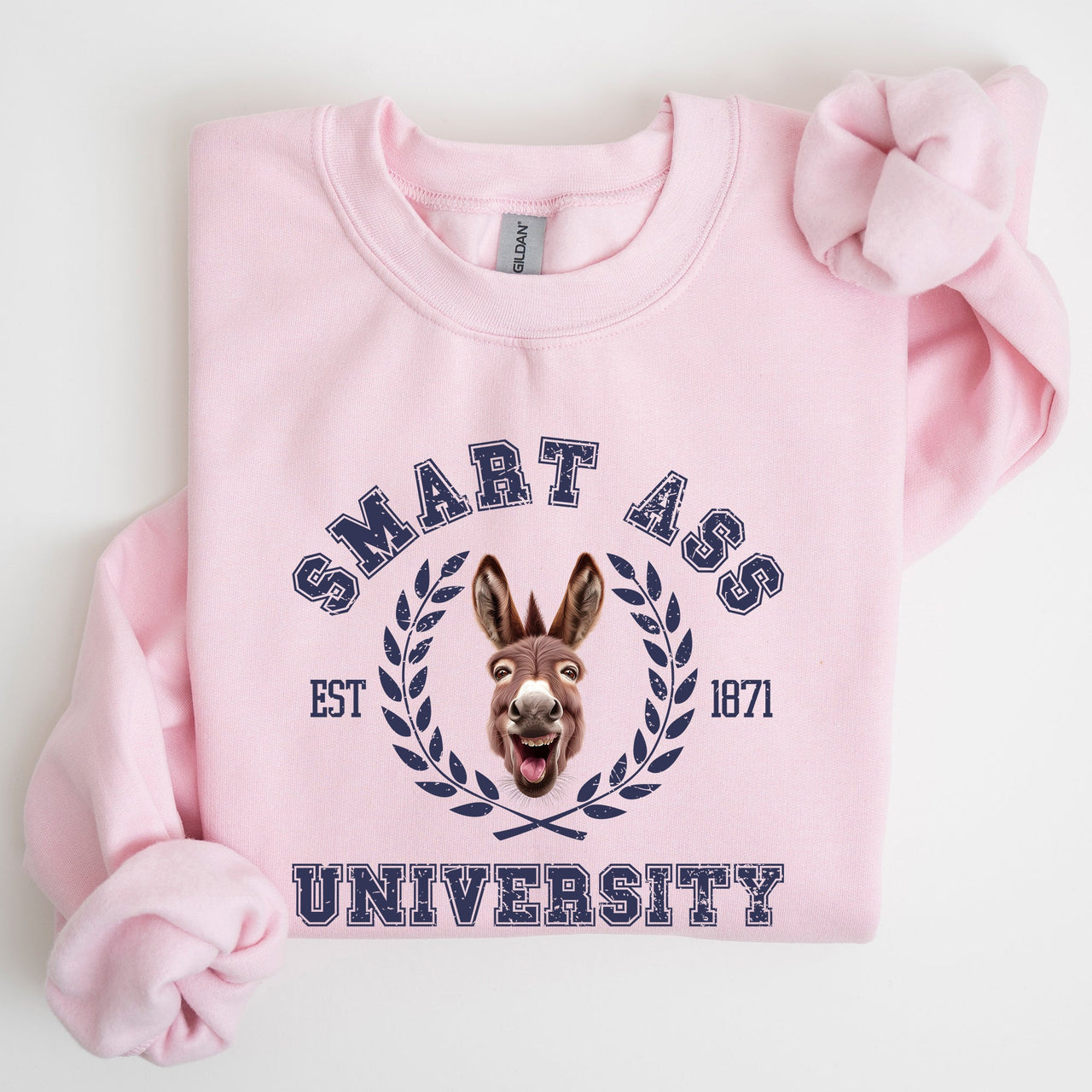Smart Ass University Donkey Sarcastic College Meme Funny Graphic Quote Sweatshirt