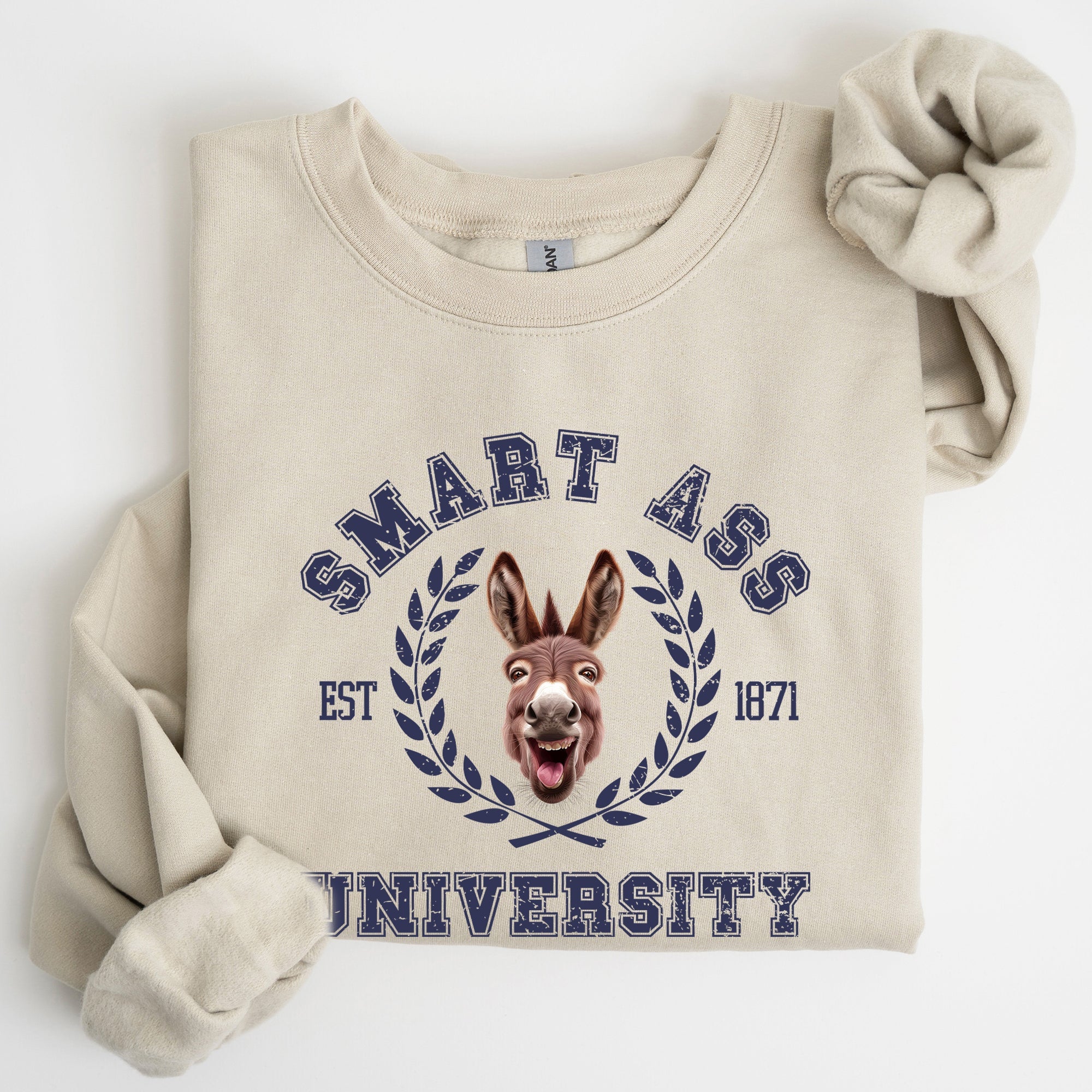 Smart Ass University Donkey Sarcastic College Meme Funny Graphic Quote Sweatshirt