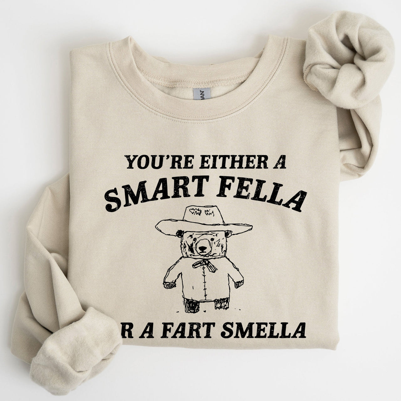 Smart Fella Fart Smeller Funny Bear Cartoon Character Whimsical Playful Bold Sweatshirt