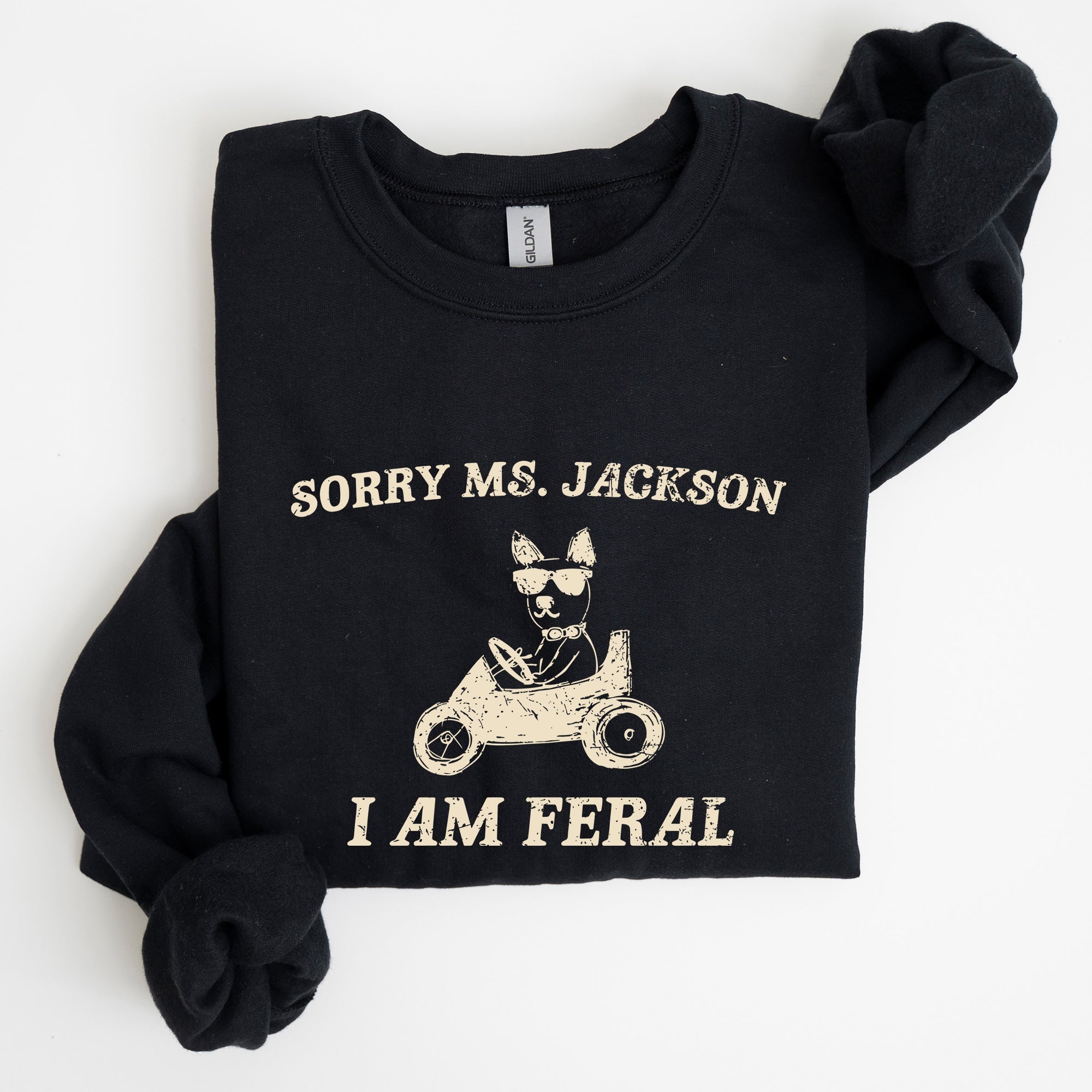Sorry Ms Raccoon Meme Expression Of Internet Humor And Quirky Reactions Sweatshirt