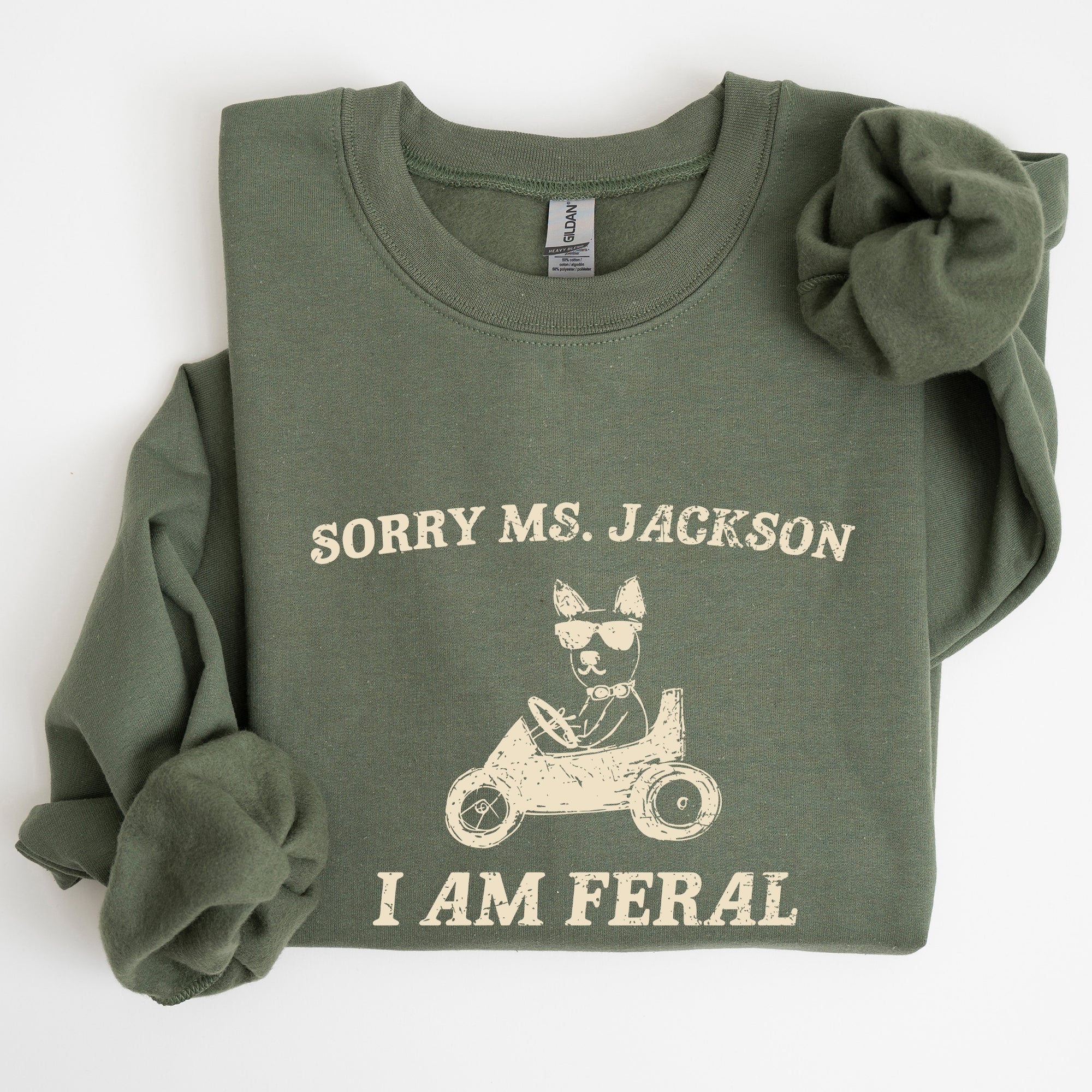 Sorry Ms Raccoon Meme Expression Of Internet Humor And Quirky Reactions Sweatshirt