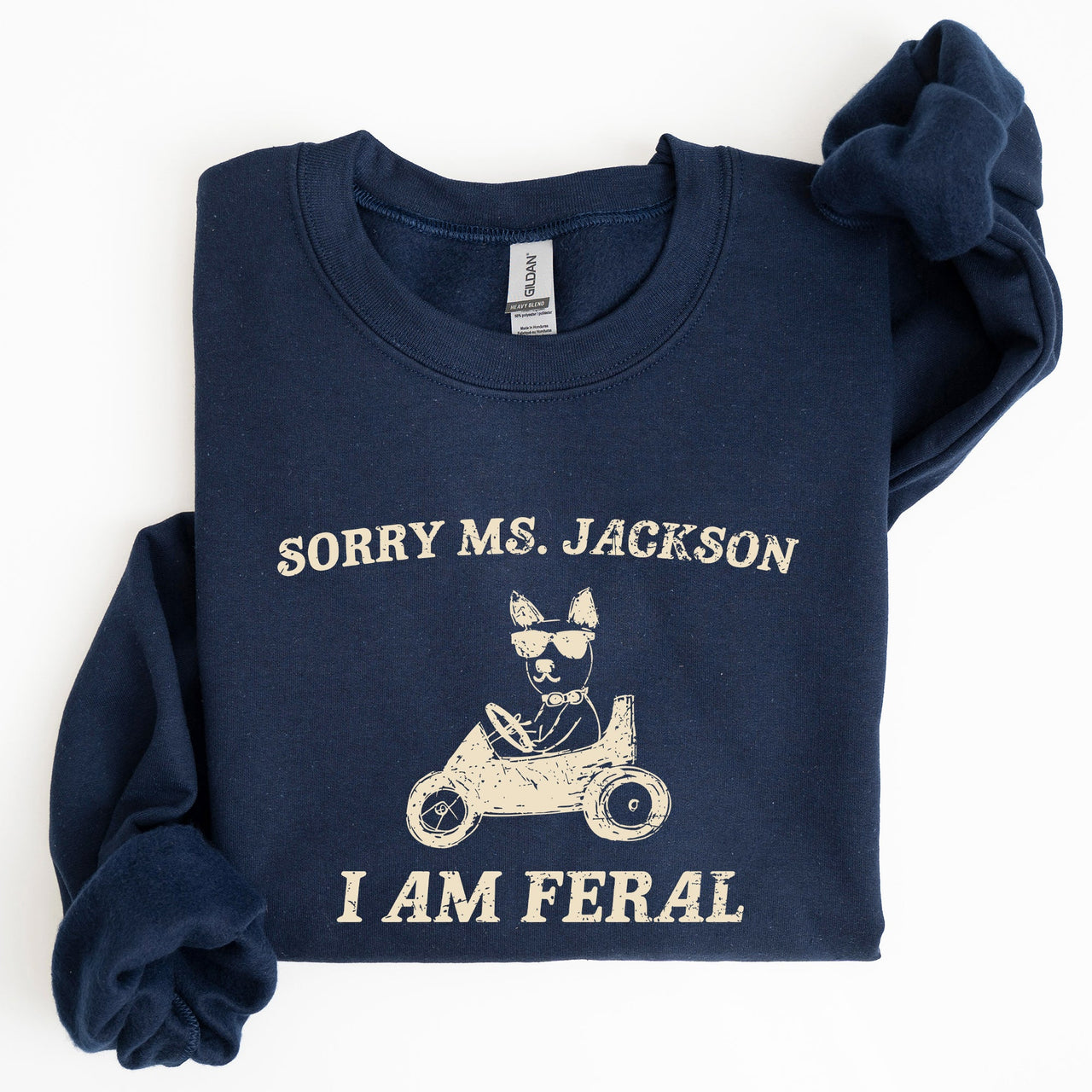 Sorry Ms Raccoon Meme Expression Of Internet Humor And Quirky Reactions Sweatshirt