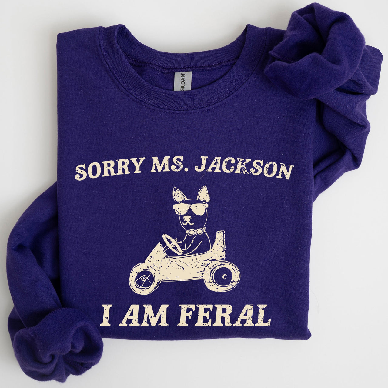 Sorry Ms Raccoon Meme Expression Of Internet Humor And Quirky Reactions Sweatshirt
