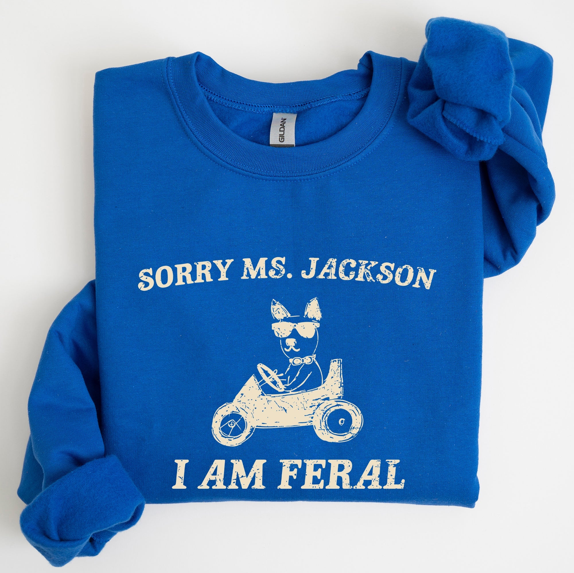 Sorry Ms Raccoon Meme Expression Of Internet Humor And Quirky Reactions Sweatshirt