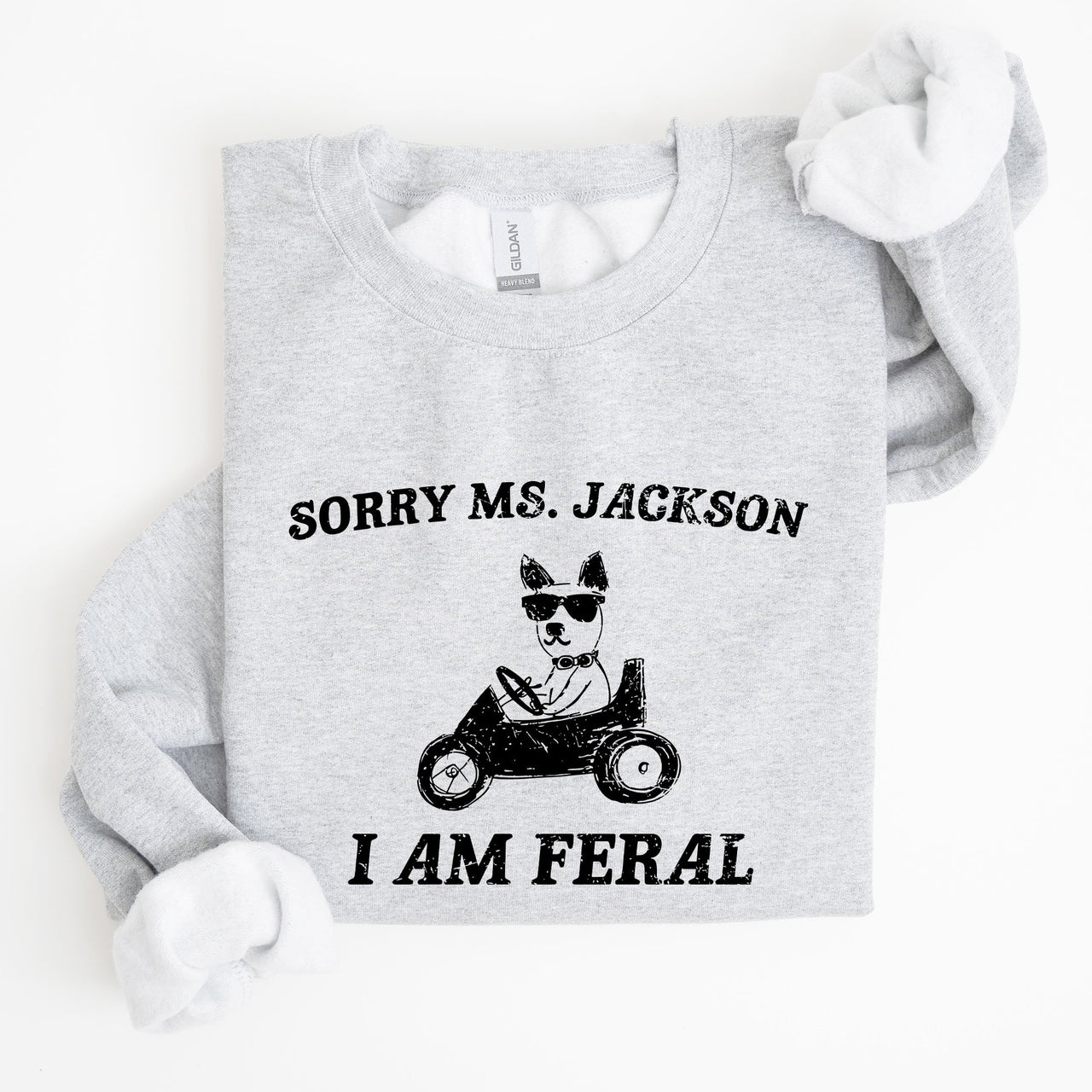 Sorry Ms Raccoon Meme Expression Of Internet Humor And Quirky Reactions Sweatshirt