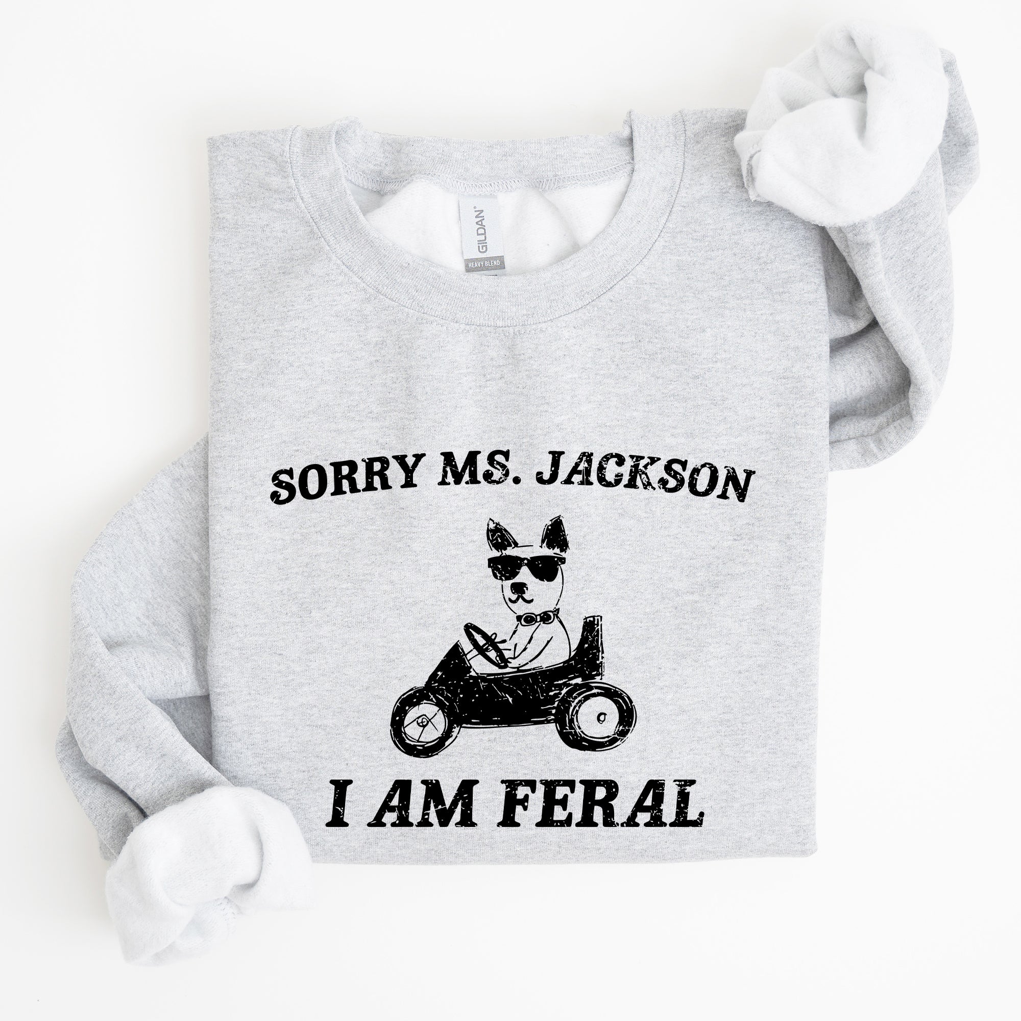 Sorry Ms Raccoon Meme Expression Of Internet Humor And Quirky Reactions Sweatshirt