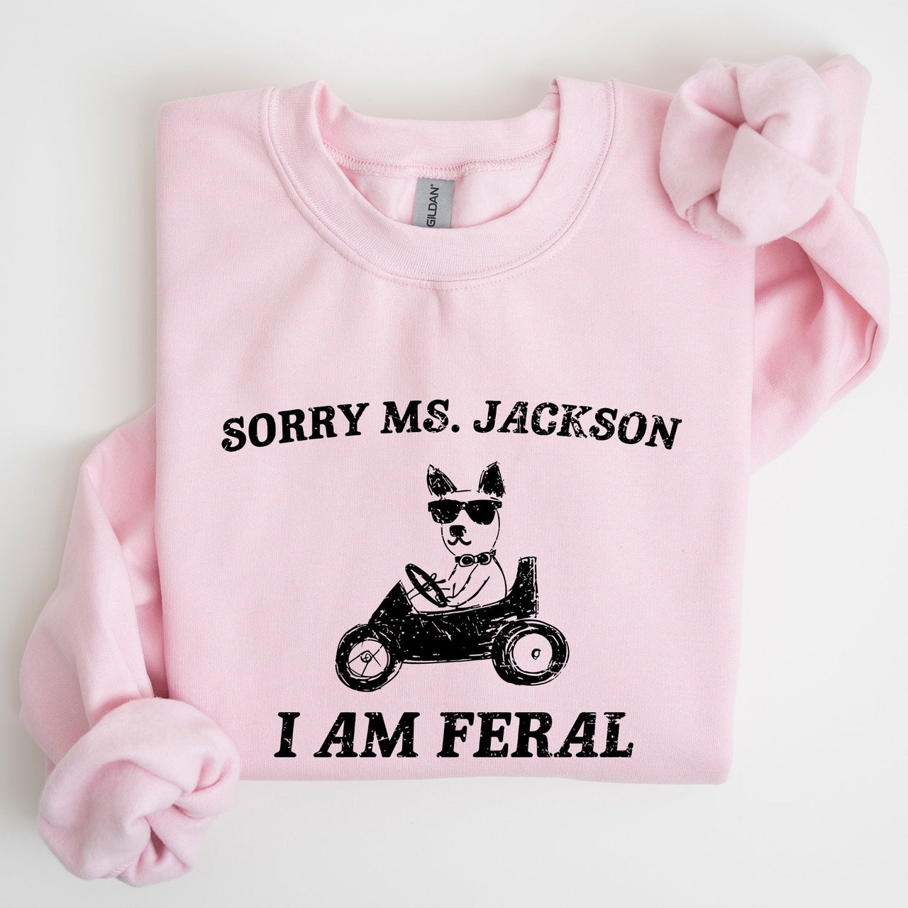 Sorry Ms Raccoon Meme Expression Of Internet Humor And Quirky Reactions Sweatshirt