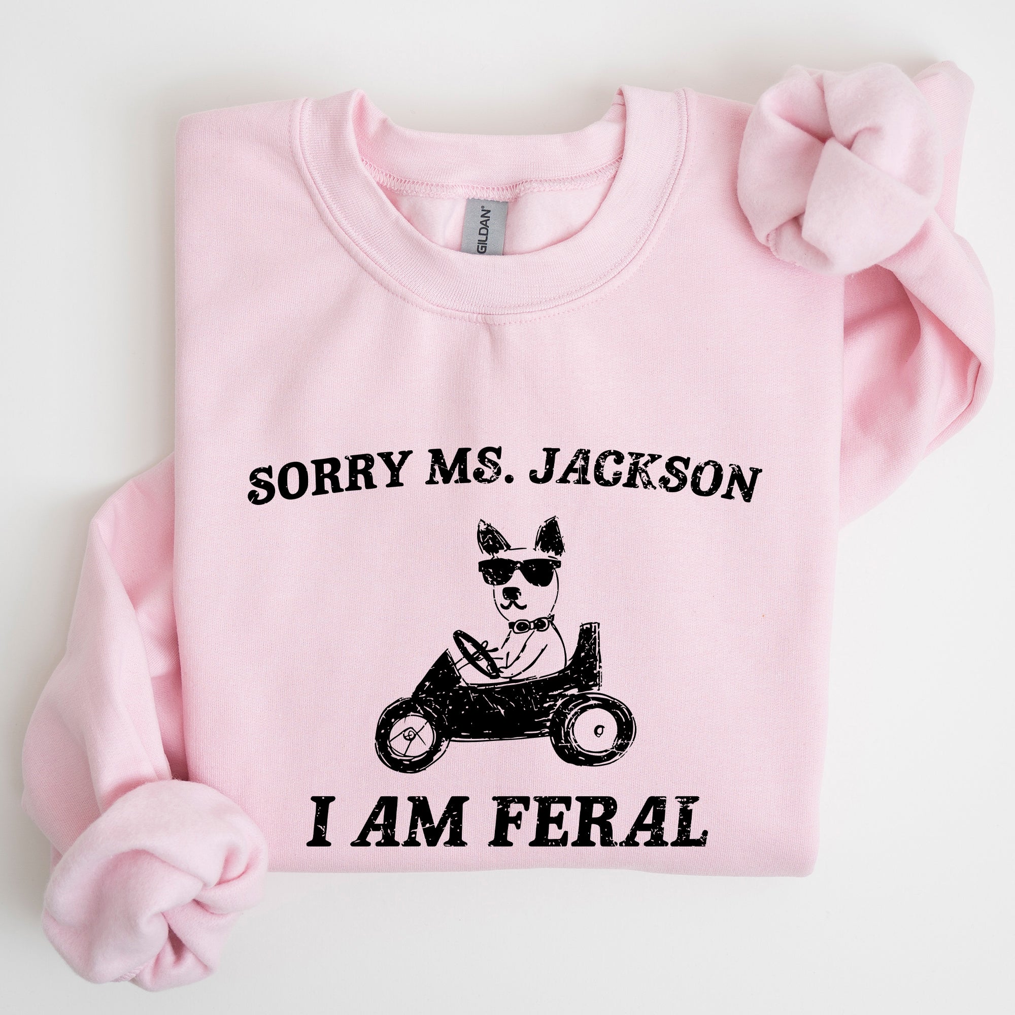 Sorry Ms Raccoon Meme Expression Of Internet Humor And Quirky Reactions Sweatshirt