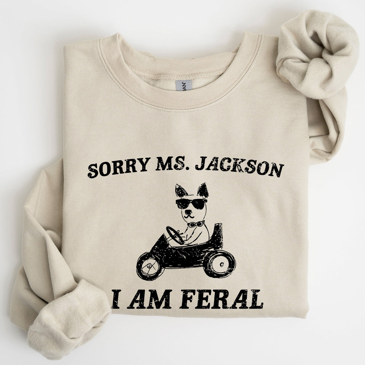 Sorry Ms Raccoon Meme Expression Of Internet Humor And Quirky Reactions Sweatshirt