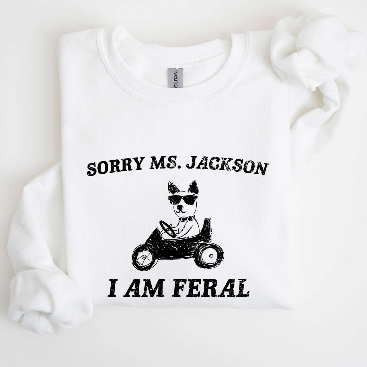 Sorry Ms Raccoon Meme Expression Of Internet Humor And Quirky Reactions Sweatshirt