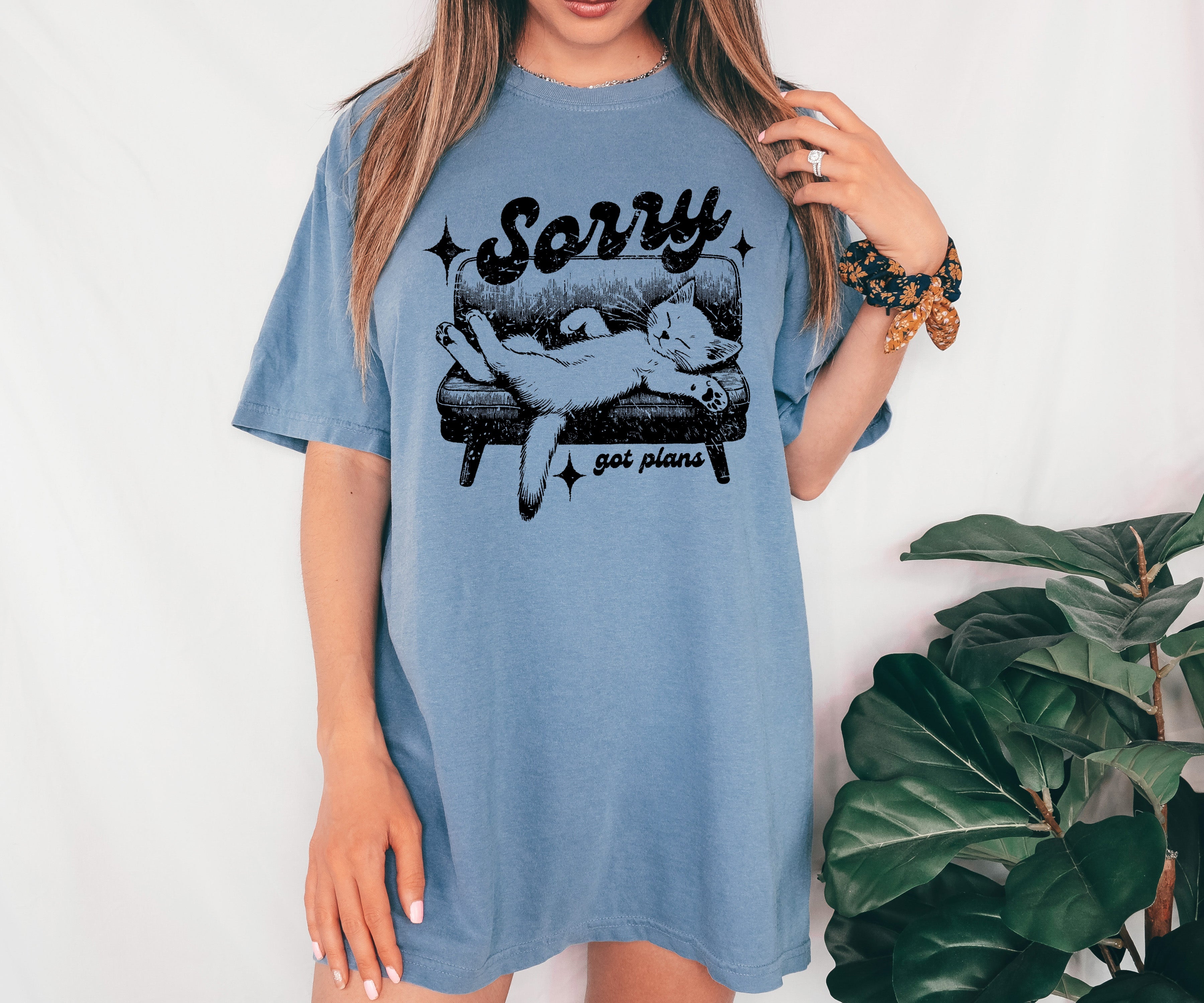 Sorry, Got Plans Lazy Cat Aesthetic Meme For Cat Lovers Who Embrace Cozy Vibes Comfort Colors Tee