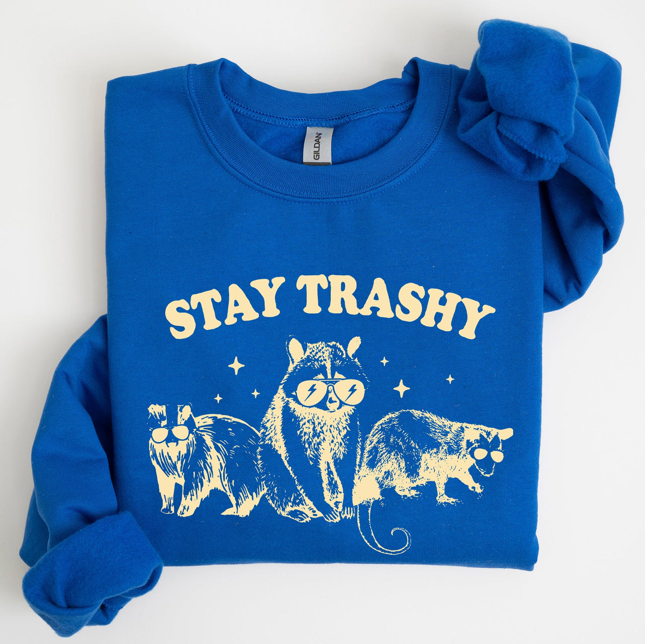Stay Trashy Raccoon Possum Aesthetic Meme Funny Graphic Illustration Quote Pop Culture Style Sweatshirt