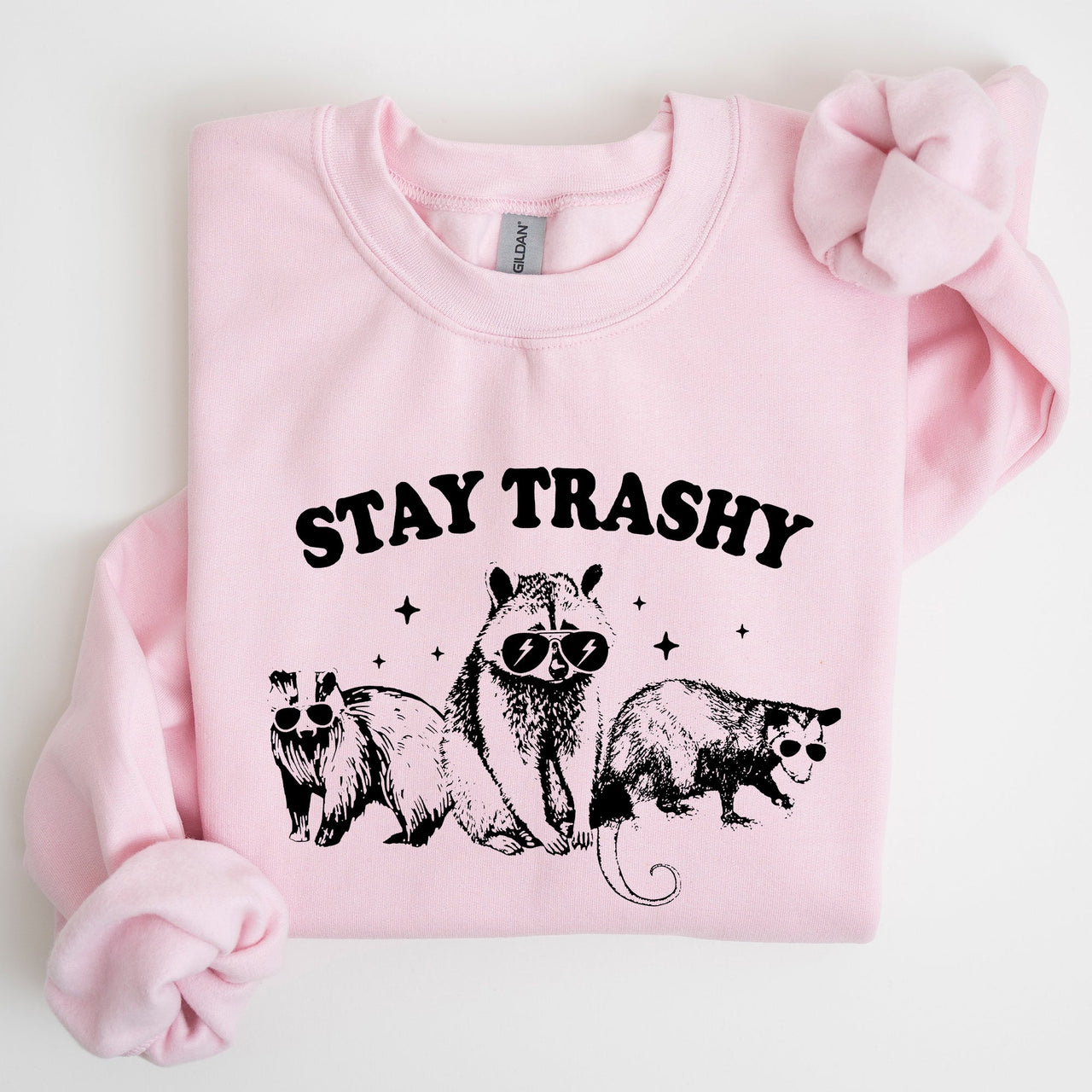 Stay Trashy Raccoon Possum Aesthetic Meme Funny Graphic Illustration Quote Pop Culture Style Sweatshirt