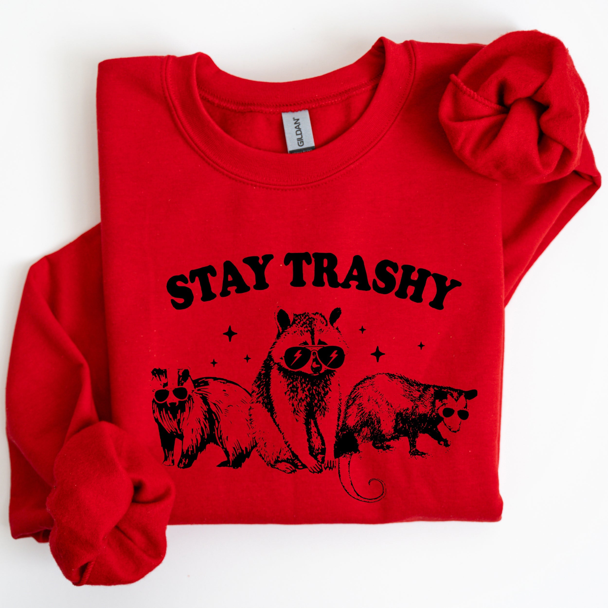 Stay Trashy Raccoon Possum Aesthetic Meme Funny Graphic Illustration Quote Pop Culture Style Sweatshirt